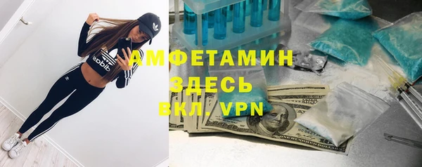 мяу мяу мука Алексеевка