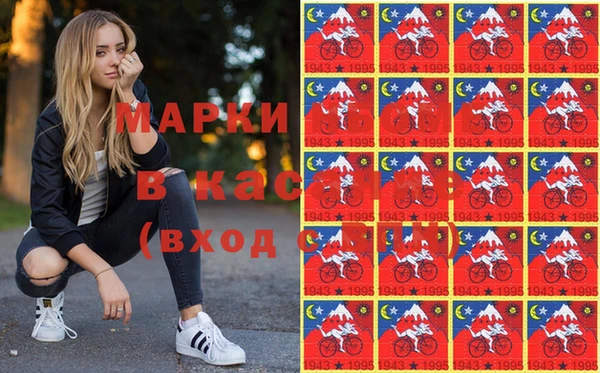 spice Алзамай