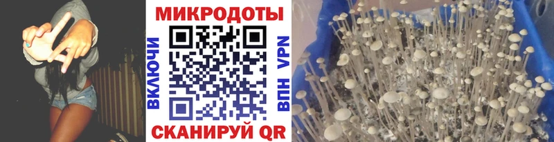 MEGA ТОР  Магнитогорск  Галлюциногенные грибы GOLDEN TEACHER 