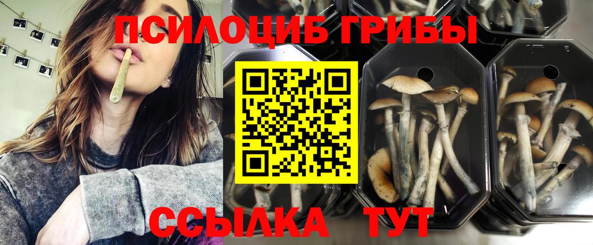 Псилоцибиновые грибы GOLDEN TEACHER Магнитогорск