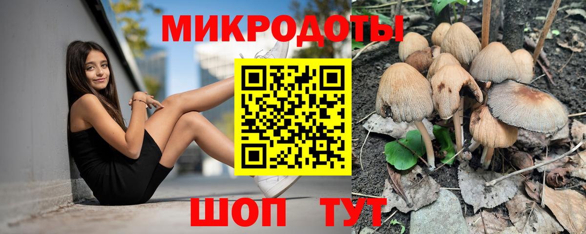 Галлюциногенные грибы мухоморы  Вход с VPN  купить закладку  Магнитогорск 